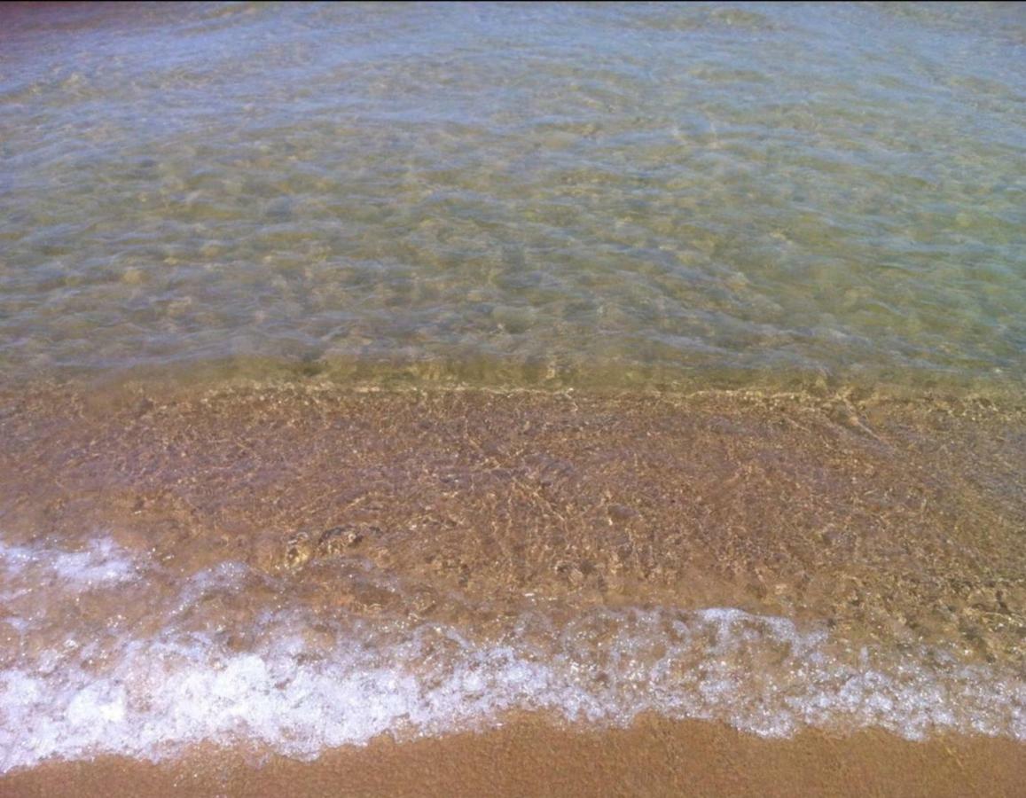 Casa Vacanze Sea-Life ألكامو مارينا المظهر الخارجي الصورة